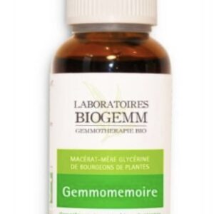 complexe de bourgeons pour la mémoire